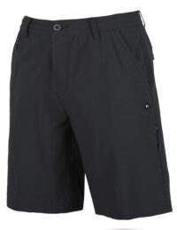 Rip Curl Global Entry Evolution Shorts in Black-30 inch